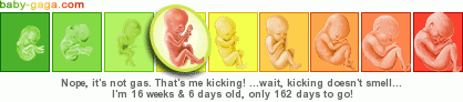 pregnant