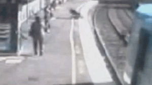 tooronga_station_baby_train